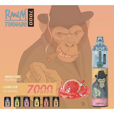 Cig descartável feito sob encomenda dos sabores E dos sopros 45 do atomizador 7000 de 14ML RADNM Vape
